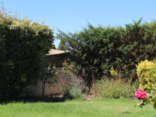 Les 1000 Vignes - Frontignan - 5