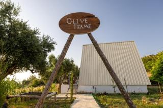 Olive Frame - Zakynthos - 7