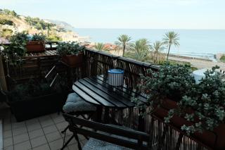 Alba bordigotta - Bordighera - 8