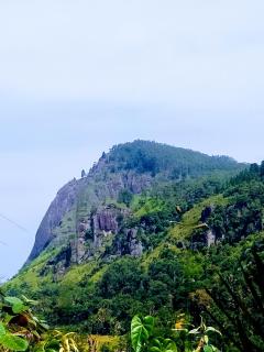 Mount Olympus View - Ella - 5