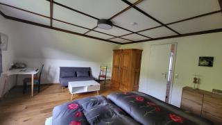 Ferienhaus Barbey - St. Blasien - 3