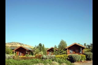 החצר המוסיקלית רמות - Moshav Ramot - 4