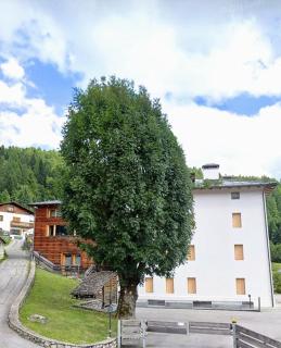Beautiful apartment in Zoldo Alto Dolomites - - 0