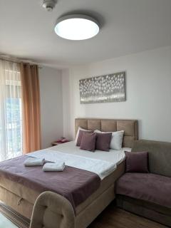 Studio Bogdanovic - Vrnjačka Banja - 1