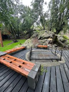 Bosque - Antuco - 5