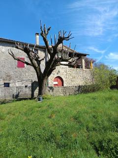 La maison Chabert - Ailhon - 6