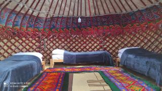 Ernis Eco Yurt Camp - Altynarasan - 4