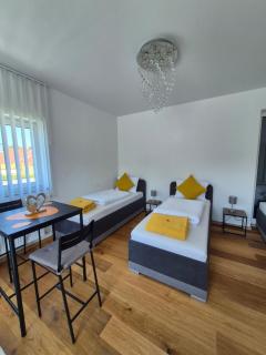 Neubauwohnung mit 80 m2 Terrasse, 8 Minuten von Linz entfernt - Linz - 1
