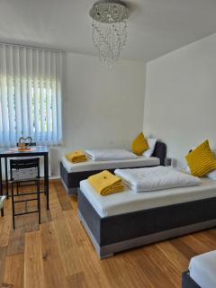 Neubauwohnung mit 80 m2 Terrasse, 8 Minuten von Linz entfernt - Linz - 5