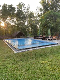 Ayubowan Nature Cottage - Sigiriya - 8