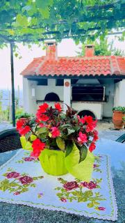 Erato's Nest - Pelion - Pilion - 5