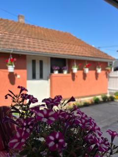 Apartman CVET Bajina Bašta - Bajina Bašta - 9