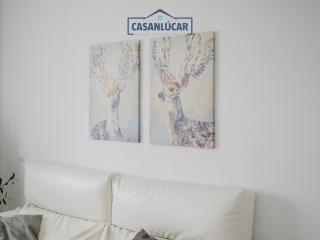 Carmen Viejo bajo - Sanlúcar de Barrameda - 1