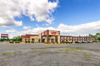 Red Roof Inn Staunton - Staunton - 9