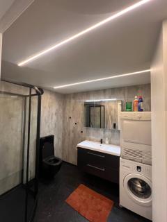 New Modern Apartment in Senja - - 3