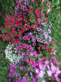 Durmitorske kolibe - 4