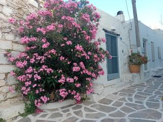 Villa Romantica - Paroikia - 2