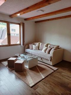 Zlatar duplex - Nova Varoš - 2