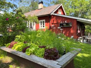 Hus Solgården - Mariestad - 6