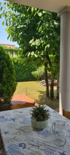 La Magnolia - Fiuggi - 2