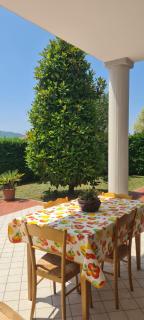 La Magnolia - Fiuggi - 9