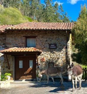 Casa Mesilda - Para - 8