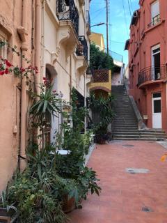 Casa Del Angel - Cerbère - 9