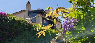 Simone House - - 0