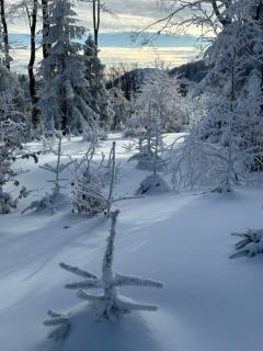 Enduro Spot - Apartament pod Kozią Górą - 1