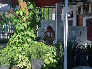 Homestay larangga - Bima - 8