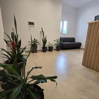 D&D HOTEL Ksamil - Ksamil - 9