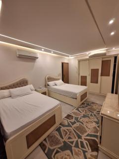 شقه فندقيه بانوراميه بالدقي - 9