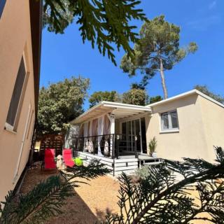 Apartmánový domček Lija - Biograd na Moru - 0