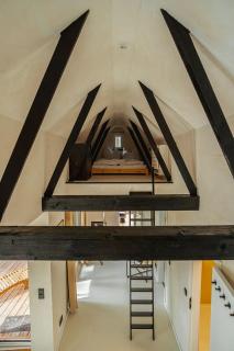 Modernes Tiny House im Spreewald - Münchehofe - 4