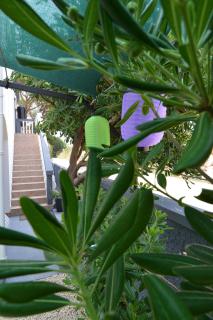 Apartments Sandra - Vir - 4