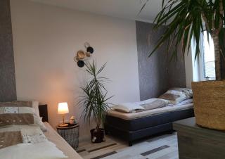 Ferienwohnung Flora Friesoythe - Friesoythe - 9