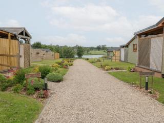 Hazel - Swadlincote - 9