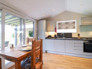 Hazel - Swadlincote - 7