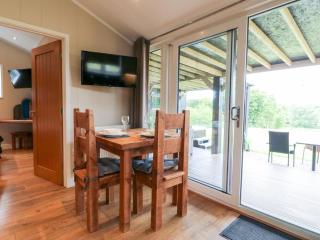 Hazel - Swadlincote - 6