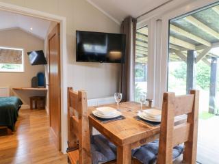 Hazel - Swadlincote - 5