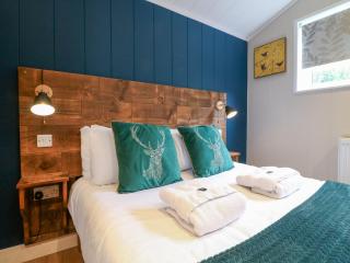 Hazel - Swadlincote - 2