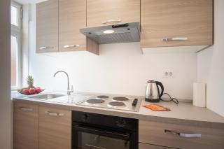AAA Apartments & Rooms with free parking - 1