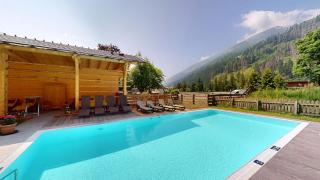 Schlosswirt Chalets & Apartments - Grosskirchheim - 6