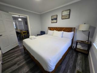 Charlotte Luxury Home NoDa - Charlotte - 6