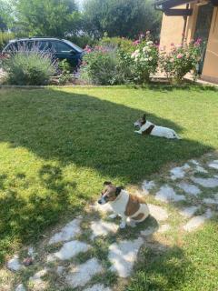 Casa Isabelle - Canneto - 6