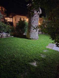 ENCANTO PEFKOHORI 2 - Pefkochori - 6