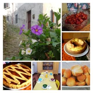IL BORGHETTO Room&Breakfast - Rocca San Casciano - 9