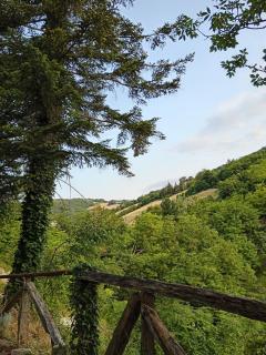 IL BORGHETTO Room&Breakfast - Rocca San Casciano - 3