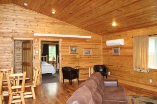 Cabin 11 - Modern open plan cabin with AC - 8