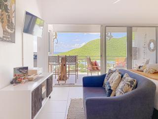 Koala 2 Elegant Studio with Sea View in Anse Marcel - Anse Marcel - 6